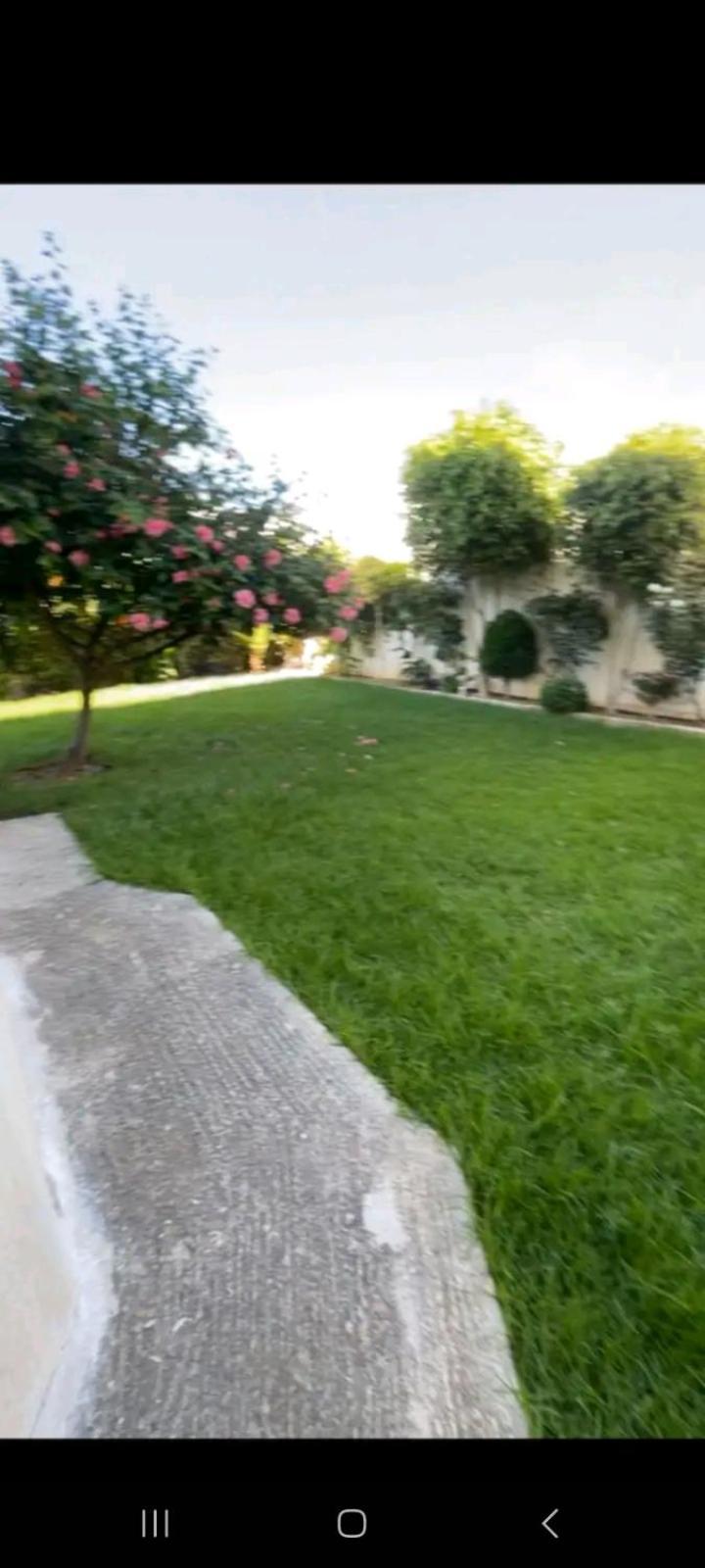 Chambres Maya Alcazarseguir  Exterior foto